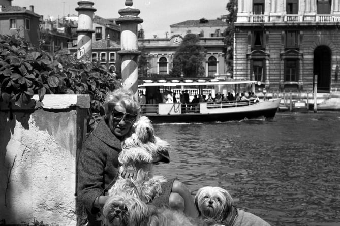 Peggy Guggenheim with her Lhasa Apsos terriers at Palazzo Venier dei Leoni in Venice, 1973 (Photo: Archivio Cameraphoto Epoche)