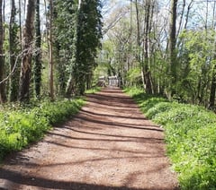 Nature calls: Learn more about East Hants river at Liss event