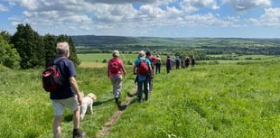 Book your space on an Alton Walking Festival walk this weekend