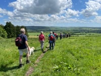 Book your space on an Alton Walking Festival walk this weekend