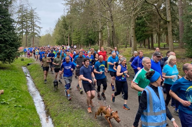 Runners take on the 500th Alice Holt parkrun (Photo: Carolyn Wickham)