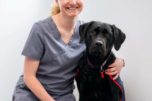 Vet saves trainee hero puppy Warrior after swallowing button battery
