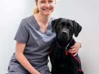 Vet saves trainee hero puppy Warrior after swallowing button battery