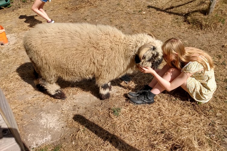 Change of Scene offers animal assisted outdoor learning to young people who are struggling in education