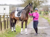 Horse with a broken neck returns to competition