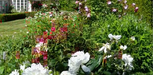 Your guide to Bramshott Open Gardens