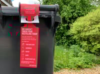Changes to EHDC bin collections over Christmas and New Year