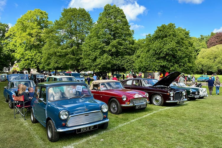 Classic cars lined up on Lion Green for eager car enthusiasts 