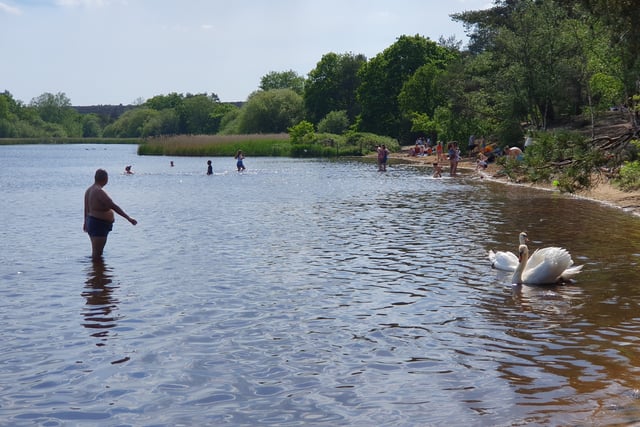 June is nature month: let’s do more to help our greatest asset