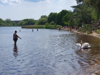 June is nature month: let’s do more to help our greatest asset