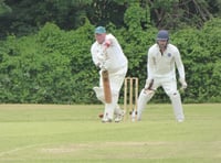 Brewer hits landmark half-century for Waverley