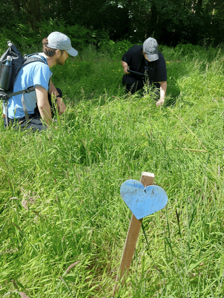 Baseline biodiversity survey on Churt Road verge (aLyne Ecology Ltd)