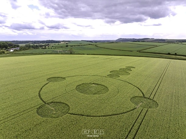 Crop Circle Wiltshire Lucy Pringle