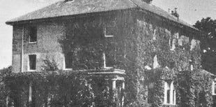 Stodham Park's covert WWII role revealed