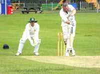 Waverley fall to seven-wicket defeat