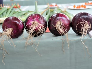 Weather no match for Liphook’s green thumbs at summer show