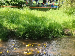 Liphook Girl Guides raise money for a trip to help others