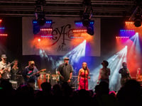 Insiders say Weyfest 2025 is off the calendar in Farnham