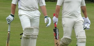 Wright hits half-century as Waverley beat Hambledon