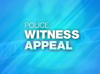 Police seek man who inappropriately touched 11-year-old girl
