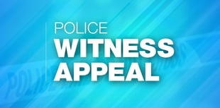 Police seek driver after A31 crash
