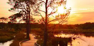 Britain’s favourite path now part of a major new nature reserve