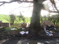 Four Marks resident fined for fly tipping