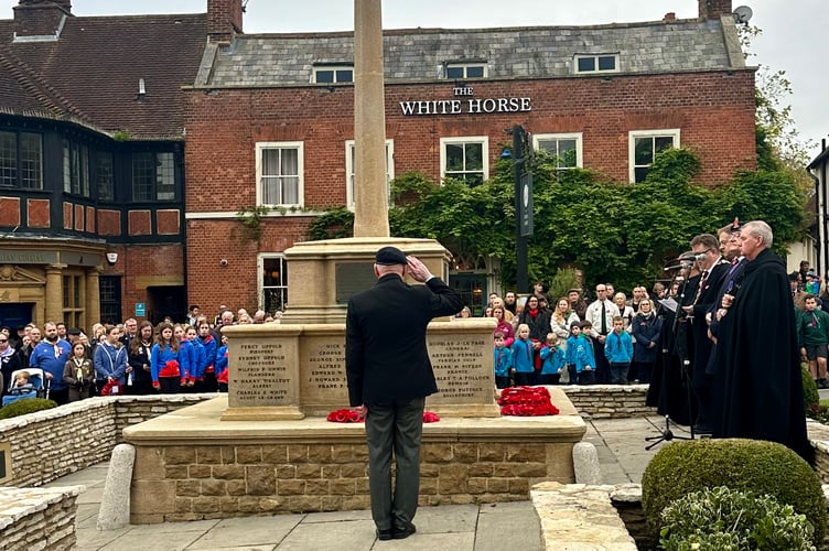Veteran salutes Haslemere War Memorial during Remembrance Service