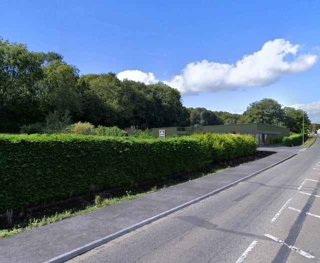 Aldi proposes new store in Horndean next to popular nursery 