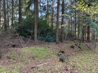 Burial sites and chapel on Heritage at Risk Register