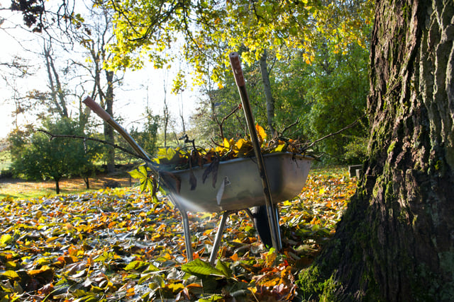 Join council garden waste service