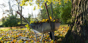 Join council garden waste service
