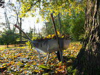 Join council garden waste service