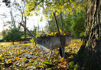 Join council garden waste service