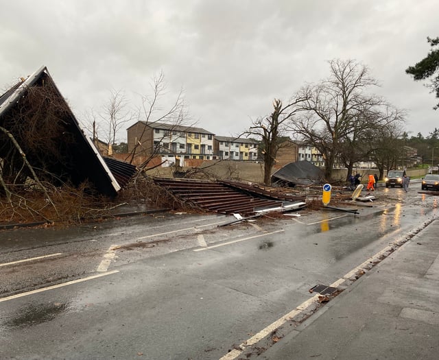 Trees downed and power lost as Storm Darragh leaves its mark