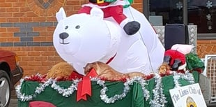 Woolmer Lions to raise spirits and funds with Christmas float
