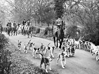 The Boxing Day Hunt - a festive tradition or echo of a cruel past? 