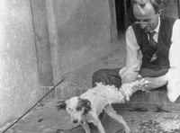 What's on at Petersfield Museum and Art Gallery this year