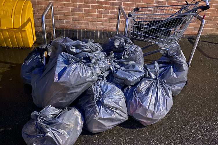 Bordon New Year Litter Pick