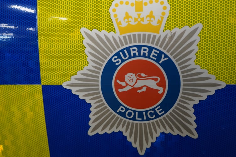 Surrey Police stock