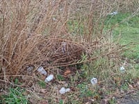 Your letters to the editor: Litterbugs are a disgrace to this country