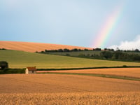 Photographer chases rainbows in the stunning South Downs