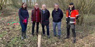 Liss gets greener as 36 Black Poplar trees take root