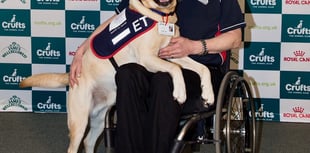 Hounds for Heroes is ready for the world's largest dog show