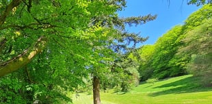 Join the fight to save Haslemere’s countryside – Your support needed!