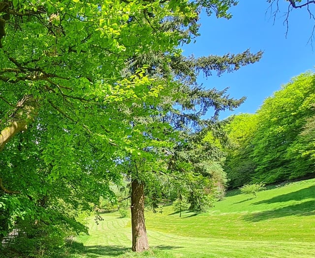 Join the fight to save Haslemere’s countryside – Your support needed!