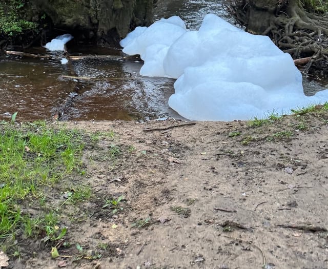Dead fish and foam seen in Wey after contamination in Haslemere area