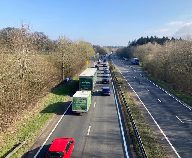 Heartfelt tribute paid to loving father who died after A3 collision 