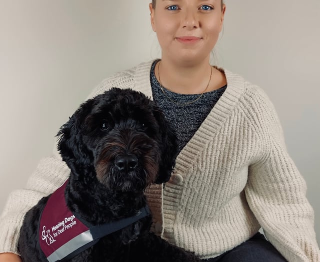 Woman takes on skydive so others can benefit from hearing dogs
