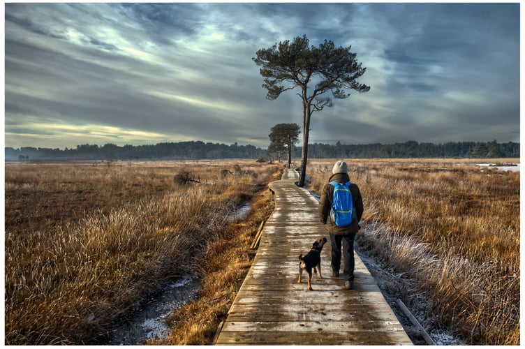Winter Walk by Adrian Corser.